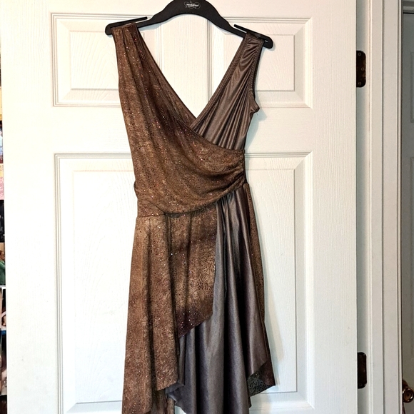 Curtain Call Costumes Brown Dress Size child XL - Picture 1 of 1